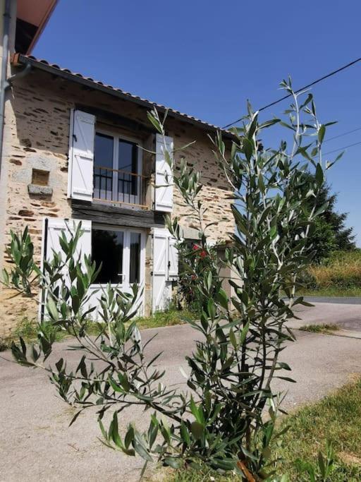La Grange De Pierrot Vila Saint-Bazile Exterior foto